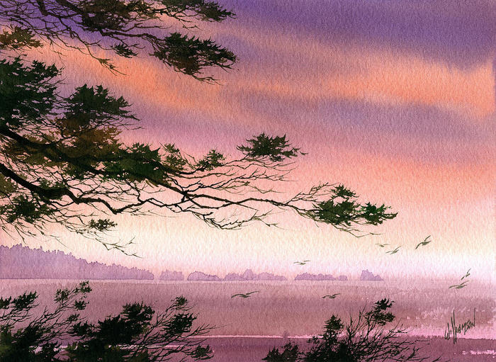 3623822_w43 (700x511, 103Kb)