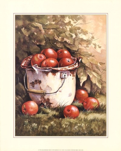 pail-of-apples-by-peggy-thatch-sibley-663700 (399x500, 119Kb)