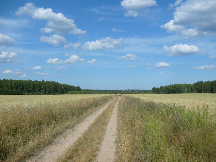 S6304701 (700x525, 171Kb)