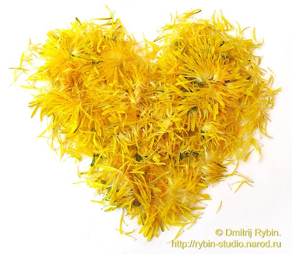 5179278_heart_yellow_1_aa1 (600x522, 73Kb)