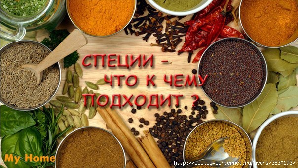 3830193_SJ1PHT65Ato (604x340, 188Kb)