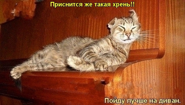   ... (600x343, 191Kb)