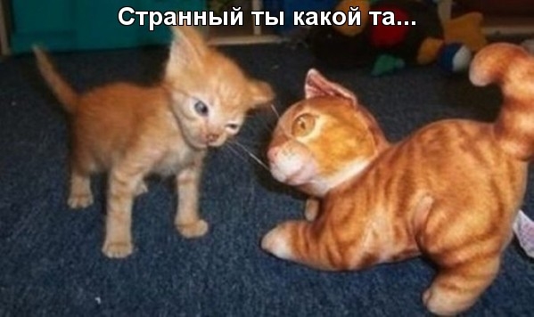  ! (599x356, 105Kb)