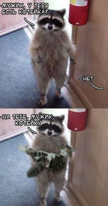  (367x700, 42Kb)