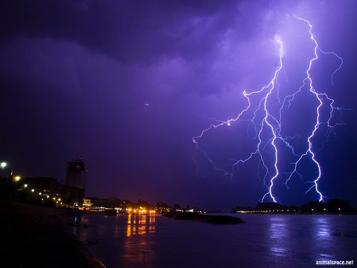 1307182423_lightning_by_quaoarus (700x525, 33Kb)
