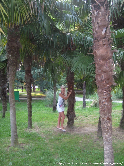 2824467_IMG_3222 (525x700, 389Kb)