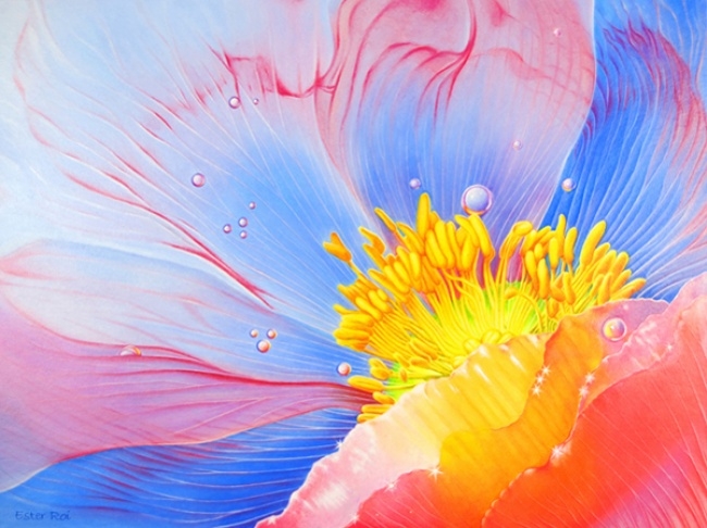original (3) (650x486, 202Kb)