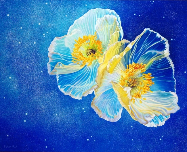 original (5) (650x529, 352Kb)