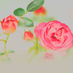 03 (150x150, 46Kb)