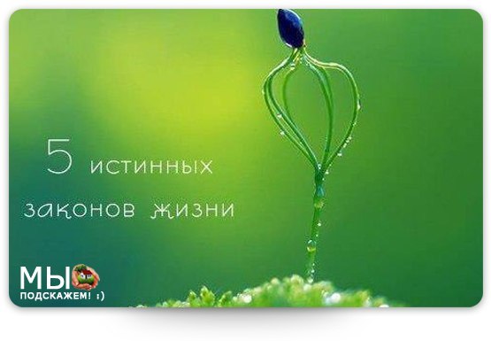 5107888_EIiOJXn8I9I (555x385, 30Kb)