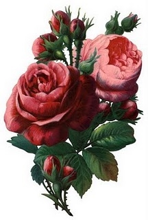 Valley_of_Roses_emb_011_png (216x320, 51Kb)