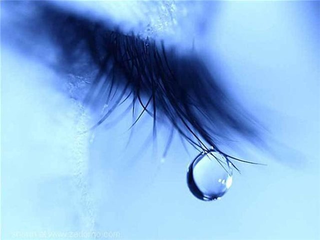 233f6342545b (640x480, 30Kb)