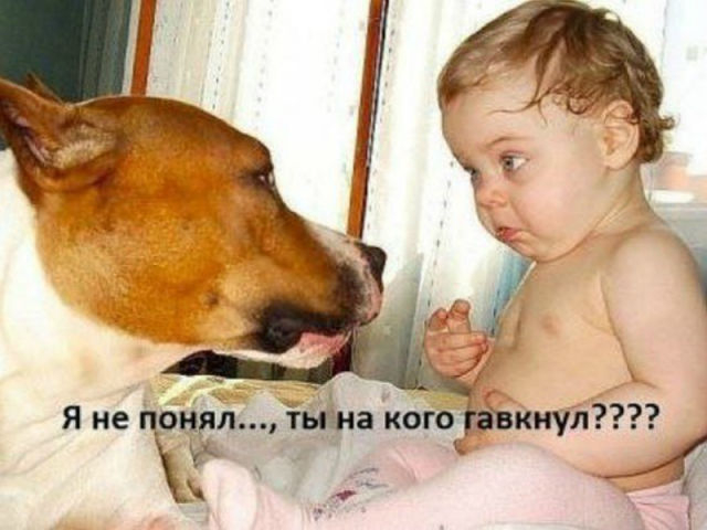 getImage4 (640x480, 181Kb)