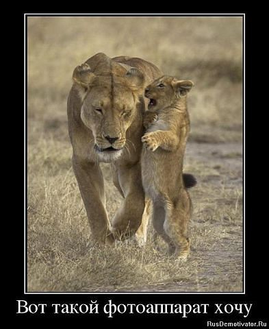 getImage26 (393x480, 114Kb)