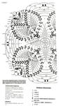  2 (392x700, 251Kb)