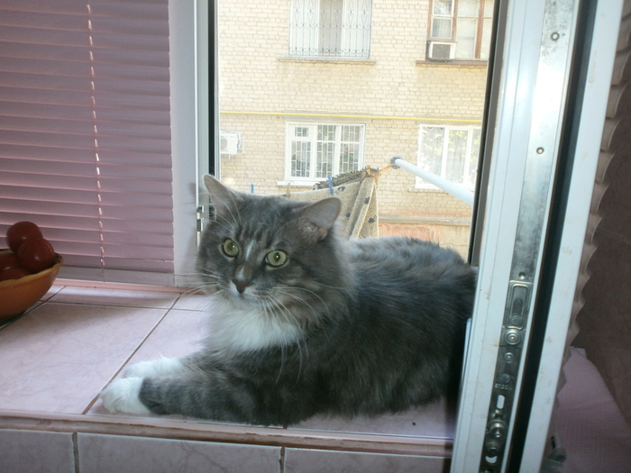 P8020001 (700x525, 254Kb)