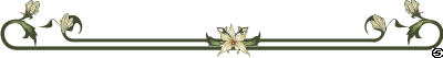 62913832_fb76bf117e66 (400x53, 4Kb)