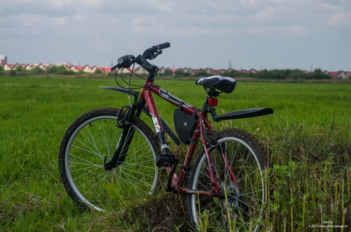 3686296_017_summer_and_bike (700x463, 259Kb)