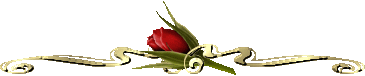 62867611_19873605_17568258_divau_jp11 (365x76, 5Kb)