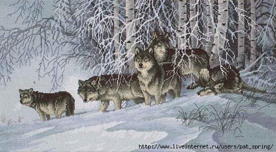winters_lace (542x300, 150Kb)