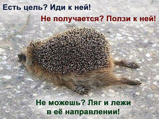     (625x469, 90Kb)