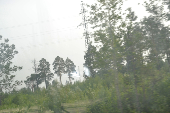 DSC_0741 (700x466, 201Kb)