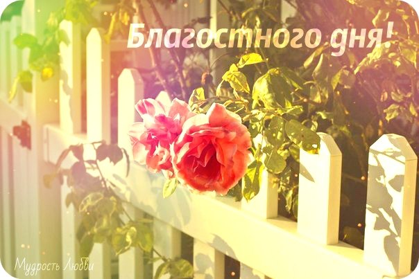 _9lU5btRIko (604x403, 55Kb)