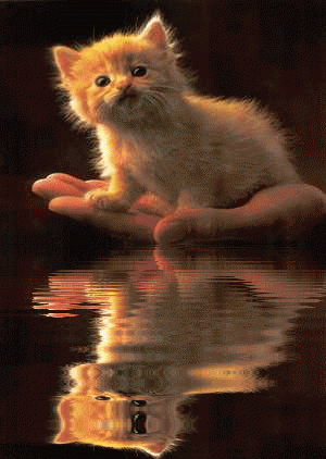 5177462_2a6411e86732_1_ (300x422, 802Kb)
