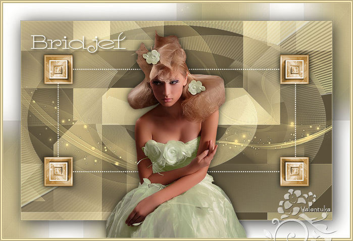 Bridjet (700x477, 76Kb)