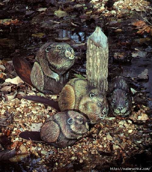 painting more animals on rocks 46 (500x566, 224Kb)