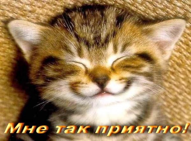 4584558_29f28d9166ee (640x474, 109Kb)