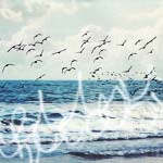 2245788_tumblr_mdntokbd4f1qhzfhbo1_500 (150x150, 35Kb)