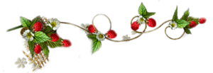 0_ab3c2_630a6ee0_M (300x103, 31Kb)