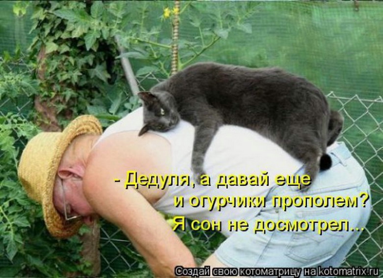 http://img0.liveinternet.ru/images/attach/b/4/103/83/103083638_large_1311145812_1311051421_936604_resize.jpg