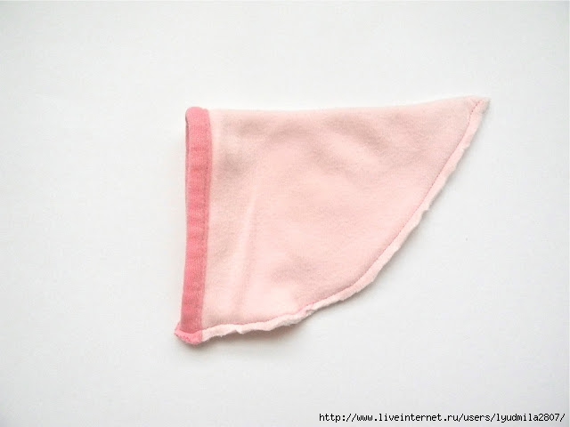 DSCN1765 (640x480, 81Kb)