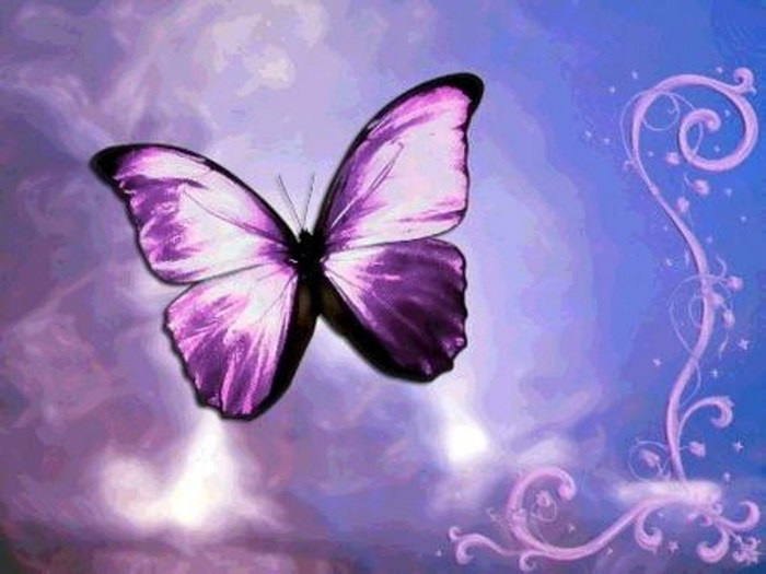 9bbeca574eb532b2c033f7ab022f696f (700x525, 70Kb)
