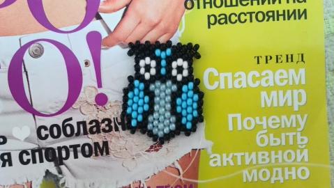 biser.info_76402_bir-uzovaja-sovushka_1374128820.preview (479x270, 26Kb)