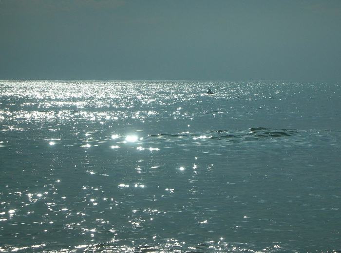DSCN08701 (700x520, 282Kb)