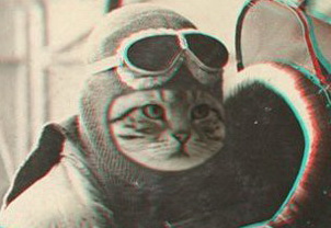 cat-pilot (302x208, 28Kb)