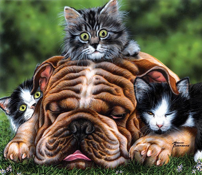 cats_and_dogs_08 (700x604, 376Kb)