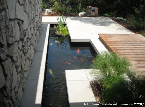 Contemporary-touch-to-the-traditional-koi-pond-design (600x443, 141Kb)