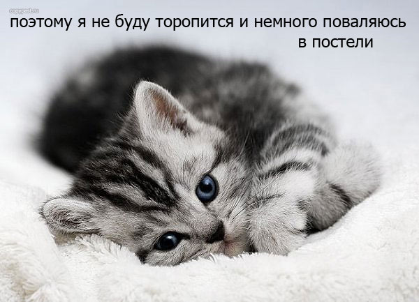 36239308_61328_56897 (600x433, 49Kb)