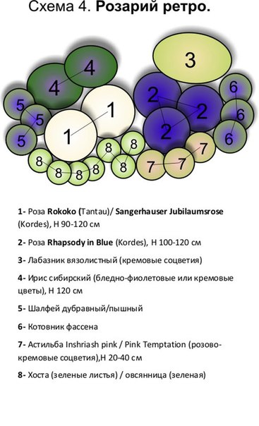 Роза звуковая схема