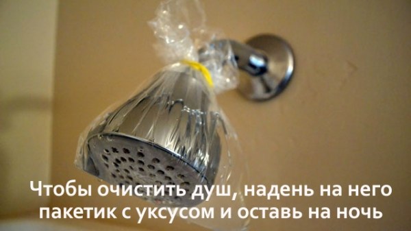 1376390454_1373832804_011ellfru (600x337, 34Kb)
