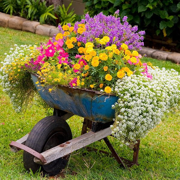garden-flowers-mix-in-container (700x700, 227Kb)