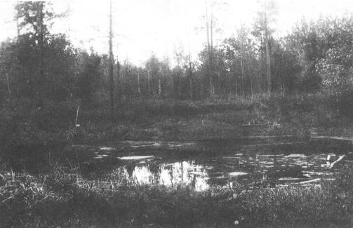 5141577_GaninaYama1918 (503x325, 27Kb)
