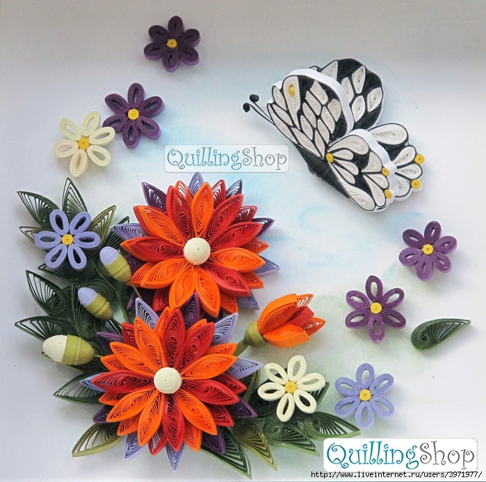 quillingshop-pic-batterfly2-950 (700x694, 416Kb)