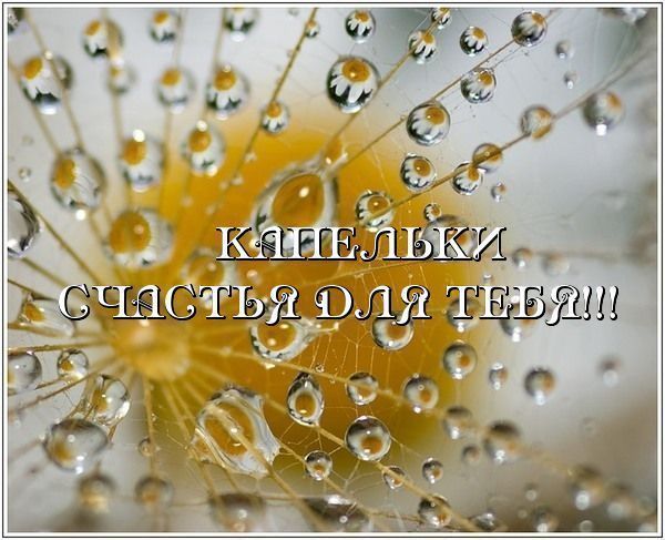 86650322_kapelki_schastya_dlya_tebya (600x487, 57Kb)