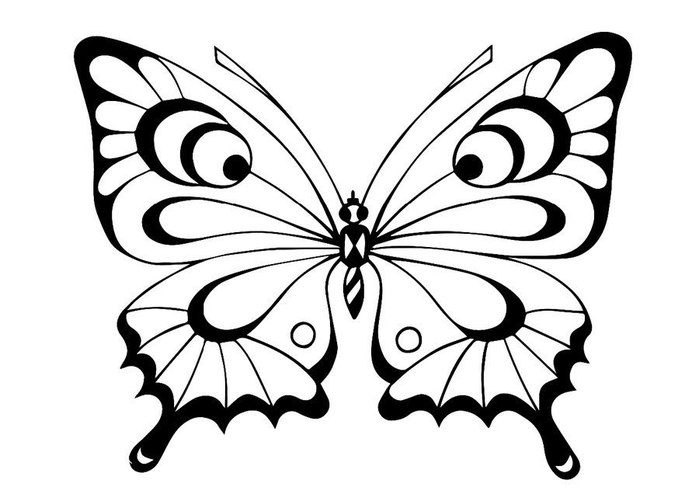5252558_pXXt5JEfyCw (700x494, 56Kb)