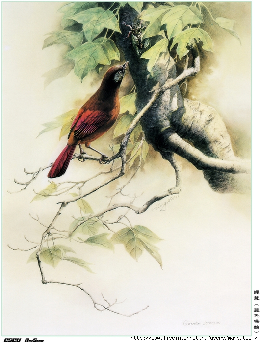 d8dd6836b741863fae2ba0e66d23d098 (530x700, 281Kb)